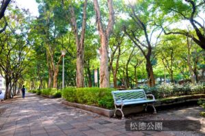 台北信義:信義計劃區第一首席,層峰人士的終極收藏 松德公園b